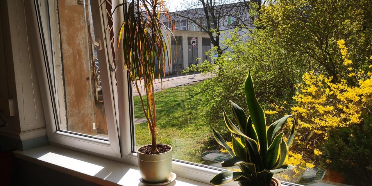 Kambariu Nuoma Kaune - Kaunas Esterno foto